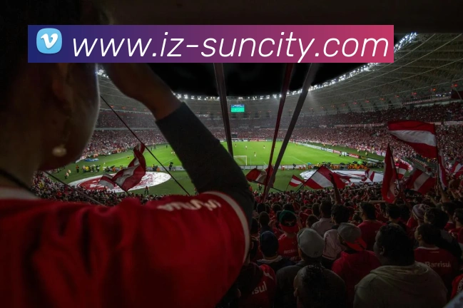 澳门太阳城APP 封面图